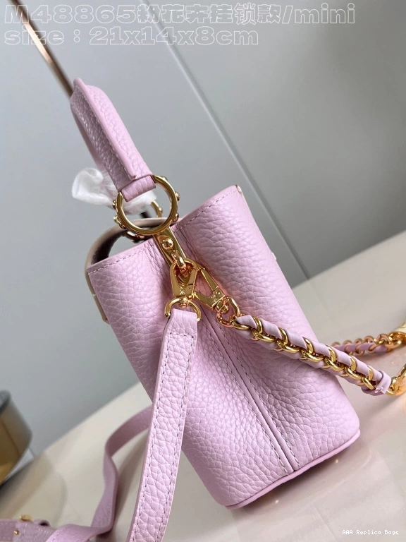 Aaa replica bags MINI-21*14*8CM LOUIS VUITTON CAPUCINES 0811